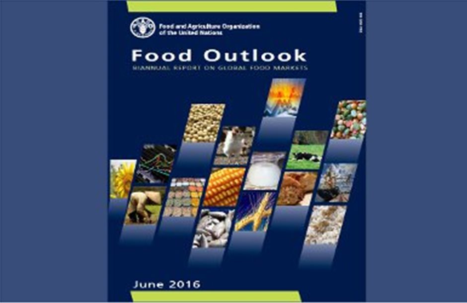 FAO: Συν 2,32% το διεθνές απόθεµα σιταριού 